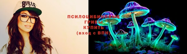 соль ск Карпинск