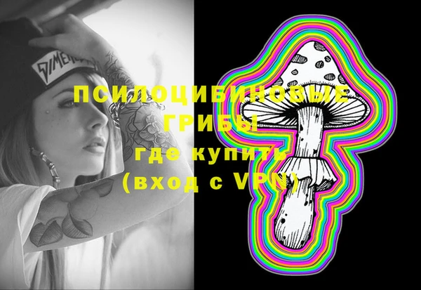 соль ск Карпинск