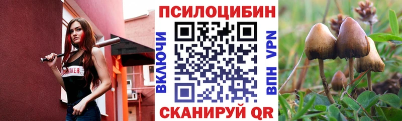 Псилоцибиновые грибы мицелий  Купить закладки  Шумерля 