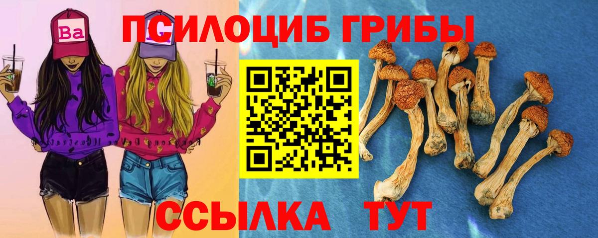 Галлюциногенные грибы Psilocybine cubensis  Шумерля 